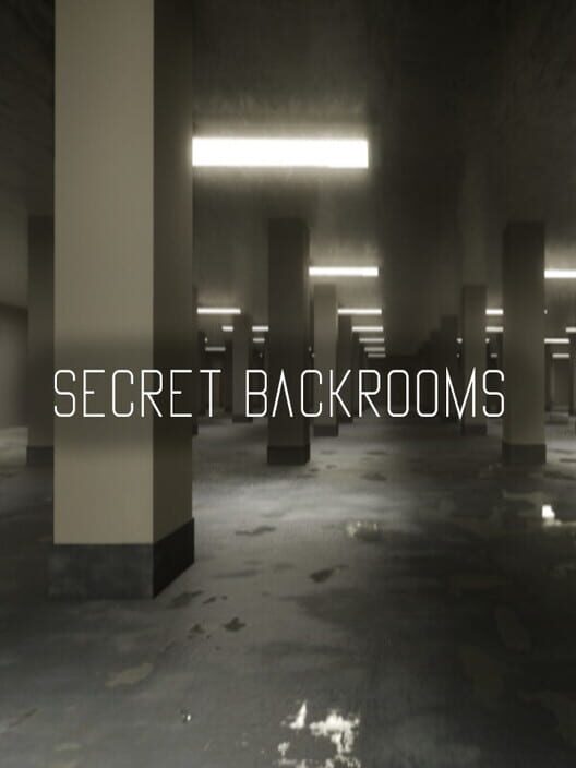 Secret Backrooms PC